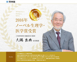 教育・学校・出版関連ウェブサイトデザイン実績