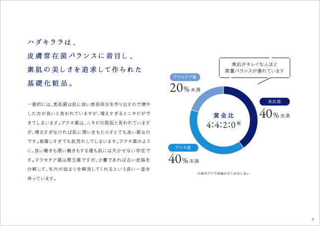 基礎化粧品／商品カタログデザイン制作実績